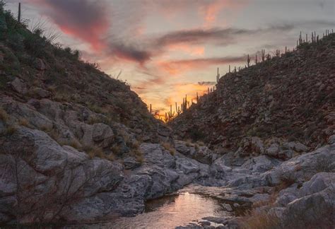 tanque verde beach|Tanque Verde Falls: A Hiking Guide 